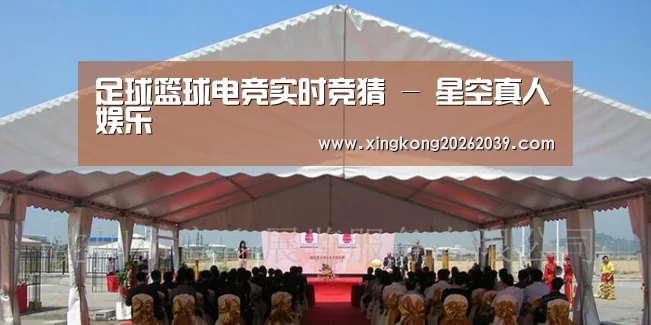 案例标题三