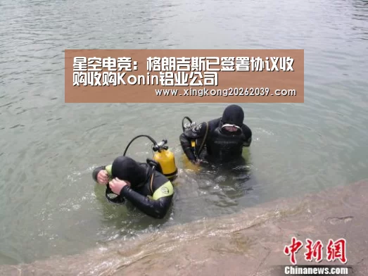 星空电竞:格朗吉斯已签署协议收购收购Konin铝业公司(图3) 星空直播