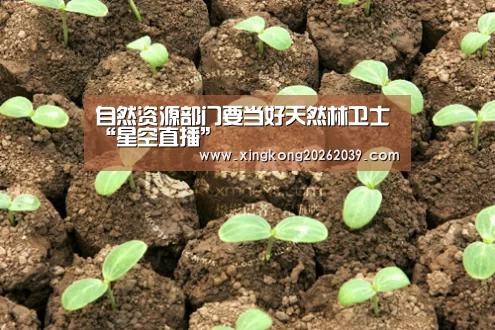 自然资源部门要当好天然林卫士“星空直播”