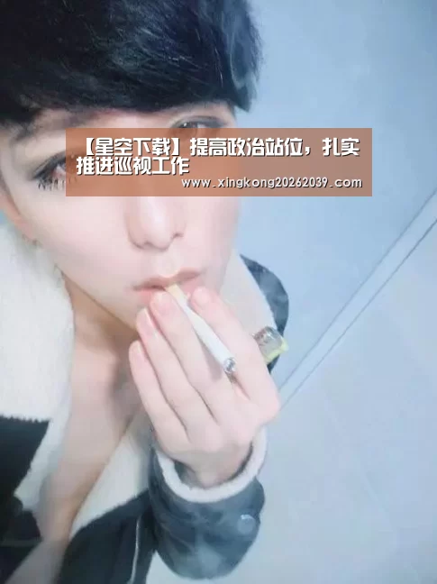 【星空下载】提高政治站位,扎实推进巡视工作(图1) 星空直播
